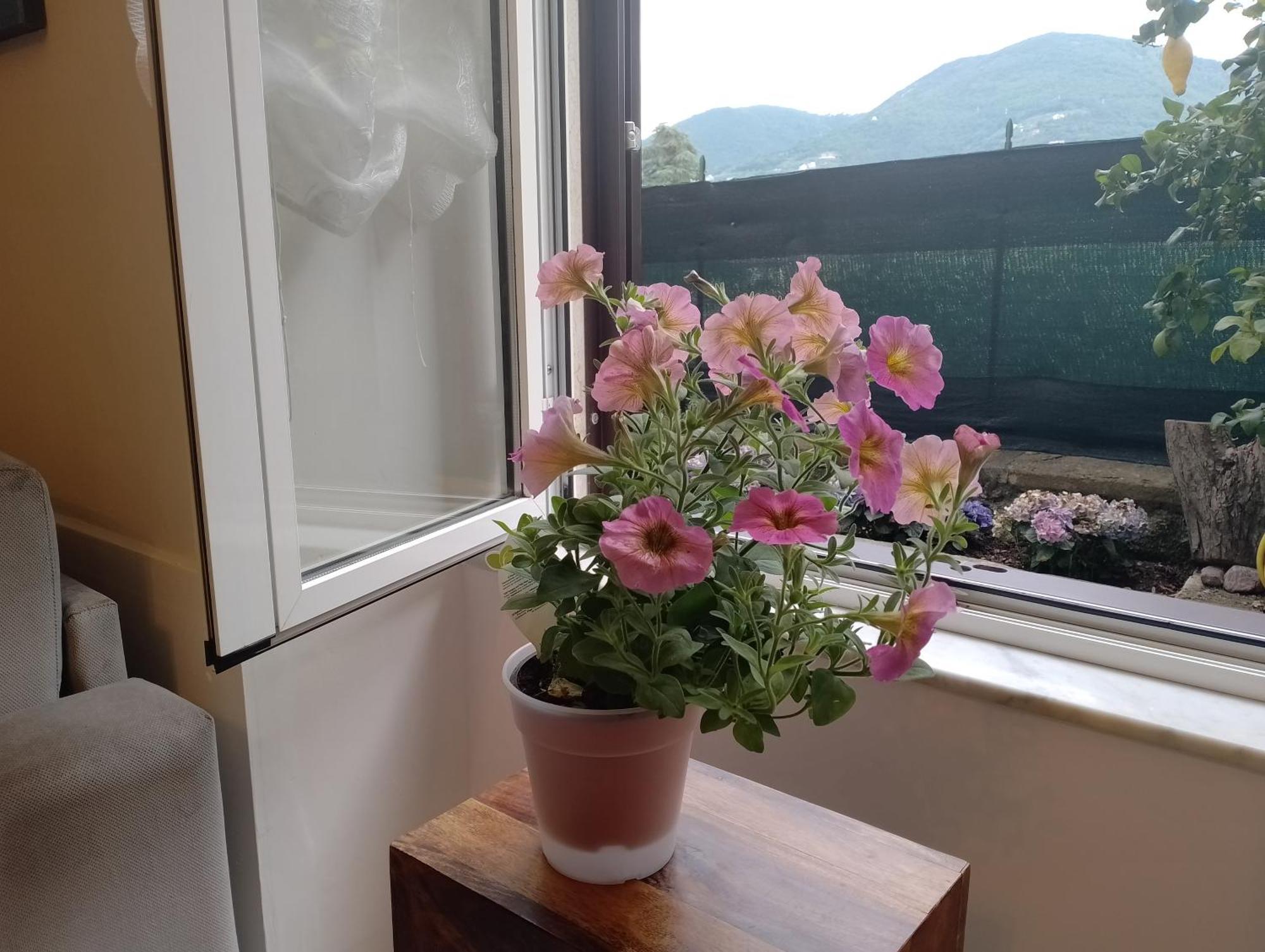 Casa Veve' Apartman La Spezia Kültér fotó